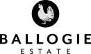 footer-logo